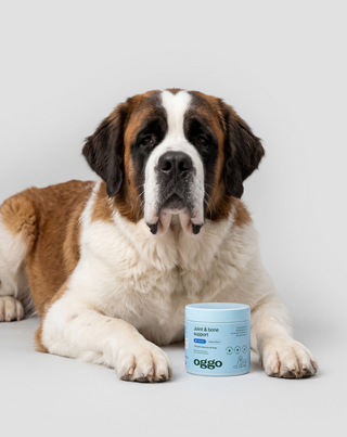 Joint & Bone Support kiegészítő eledel kutyáknak az ízületekre és csontokra Oggo 180 g - 3
