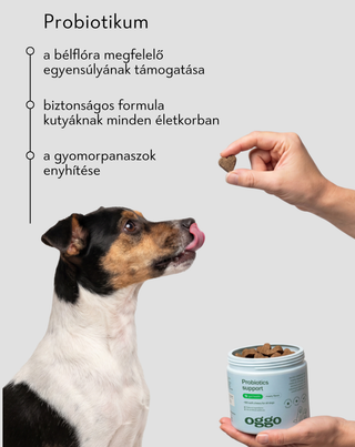 Probiotics Support kiegészítő eledel kutyáknak az emésztőrendszer és az immunrendszer támogatására Oggo 180 g - 2