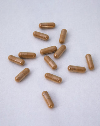 Ginkgo Biloba levél kivonat Nutridome 60 db. - 2