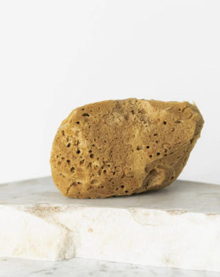 Természetes tengeri szivacs barna 9.5cm 02F hipoallergén és antibakteriális Hhuumm - 2