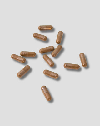 Ginkgo Biloba levél kivonat Nutridome 60 db._2 - 2