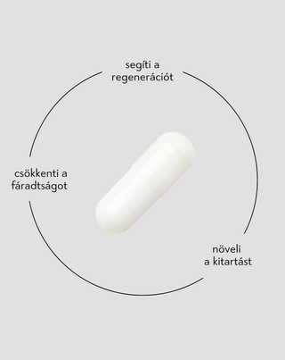 Béta-alanin 700 mg a teljesítményért és az izomfáradtság csökkentéséért Nutridome, 60 kapszula