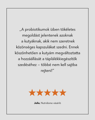 Probiotics Support kiegészítő eledel kutyáknak az emésztőrendszer és az immunrendszer támogatására Oggo 180 g
