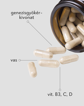 Tabletták férfiaknak a fizikai és szellemi készségek támogatására, valamint a Monolit ellenállásra - 2